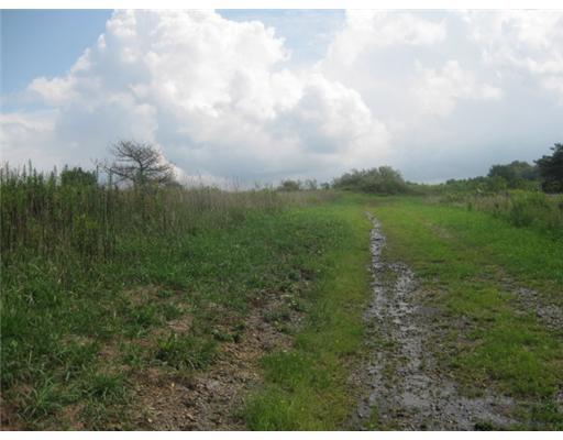East Brady Road Kittanning, PA 16201 - Photo 4 of 4 Land.