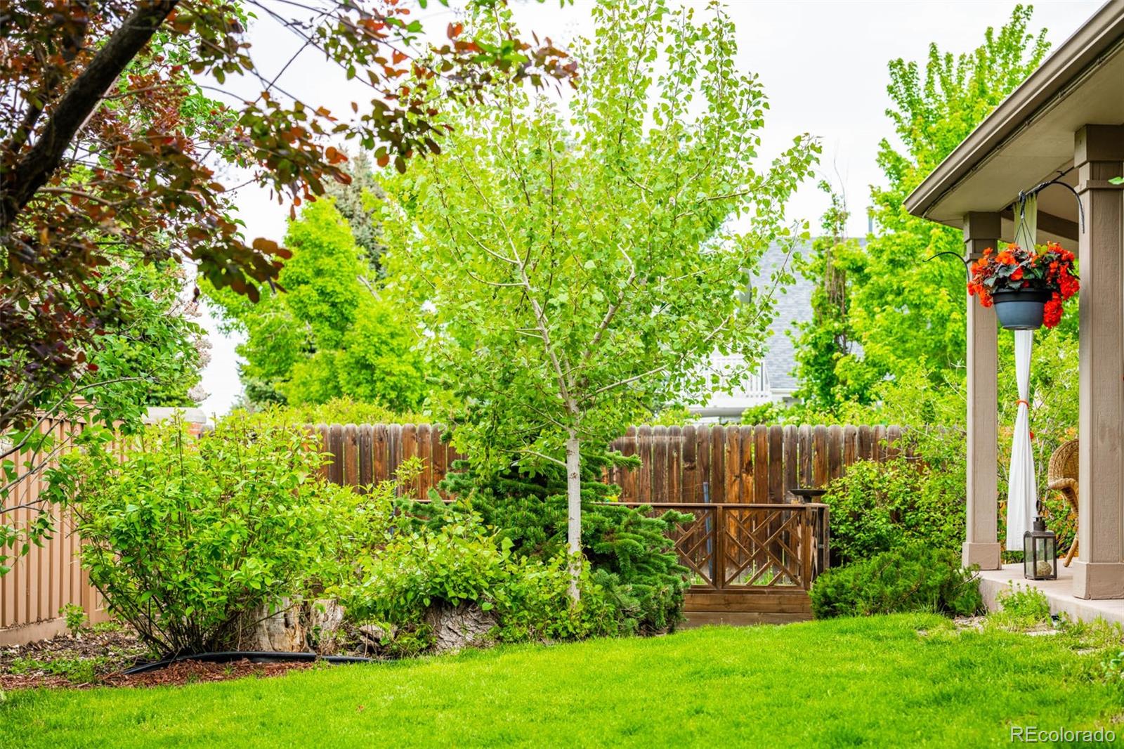 6549 Poppy Street Arvada, CO 80007 - Photo 30 of 33 a view of garden with plants and large trees