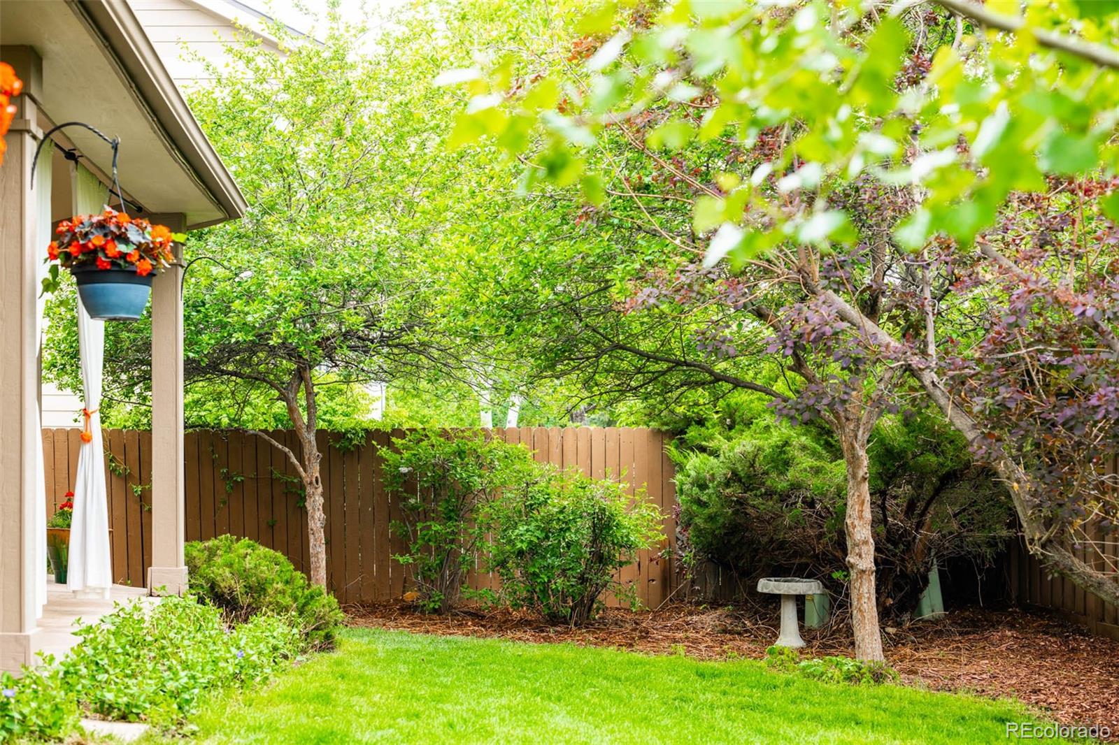 6549 Poppy Street Arvada, CO 80007 - Photo 32 of 33 a view of a backyard with plants and large trees