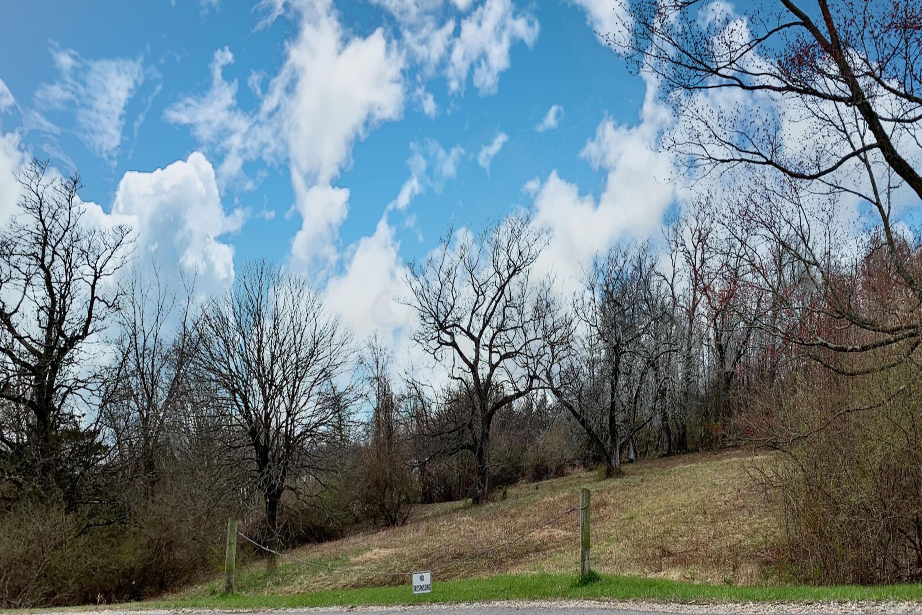 5563 Red Bank Road, Unit TRACT C Galena, OH 43021 - Photo 9 of 32 9.-View-of-Property-to-the-South