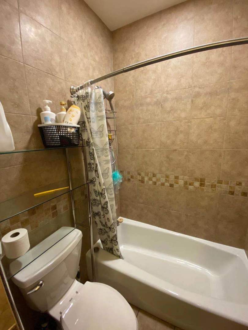723 West 31st Street, Unit 2 Chicago, IL 60616 - Photo 16 of 21 a bathroom with a toilet and a bathtub