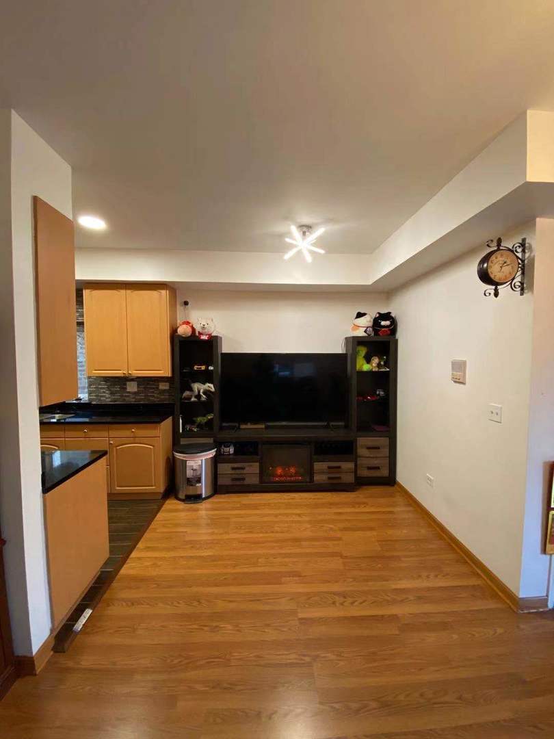 723 West 31st Street, Unit 2 Chicago, IL 60616 - Photo 2 of 21 a room with furniture and a flat screen tv