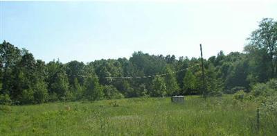 52526 Howard Road Three Rivers, MI 49093 - Photo 1 of 6 Primary Photo