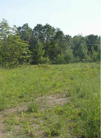 52526 Howard Road Three Rivers, MI 49093 - Photo 3 of 6 Additional Photo