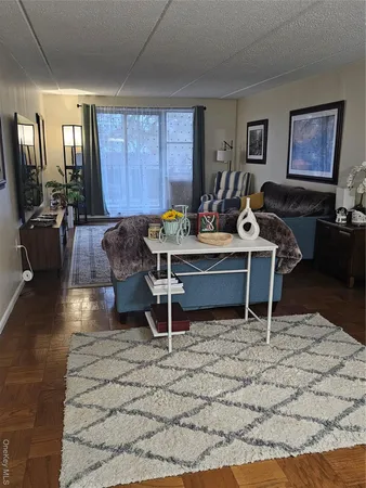 a living room with furniture rug and window