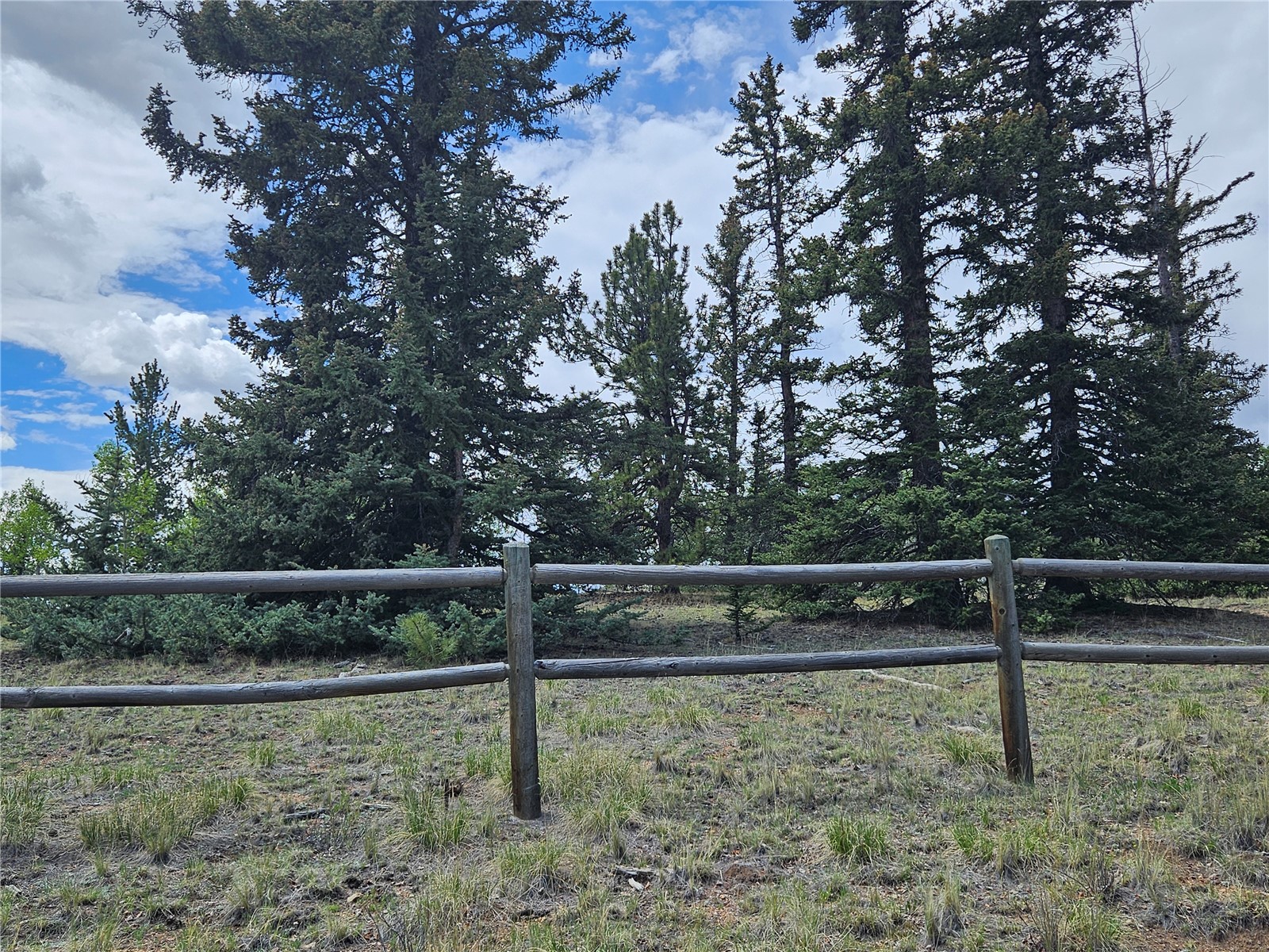 412 Smith And Wesson Road Como, CO 80432 - Photo 4 of 50