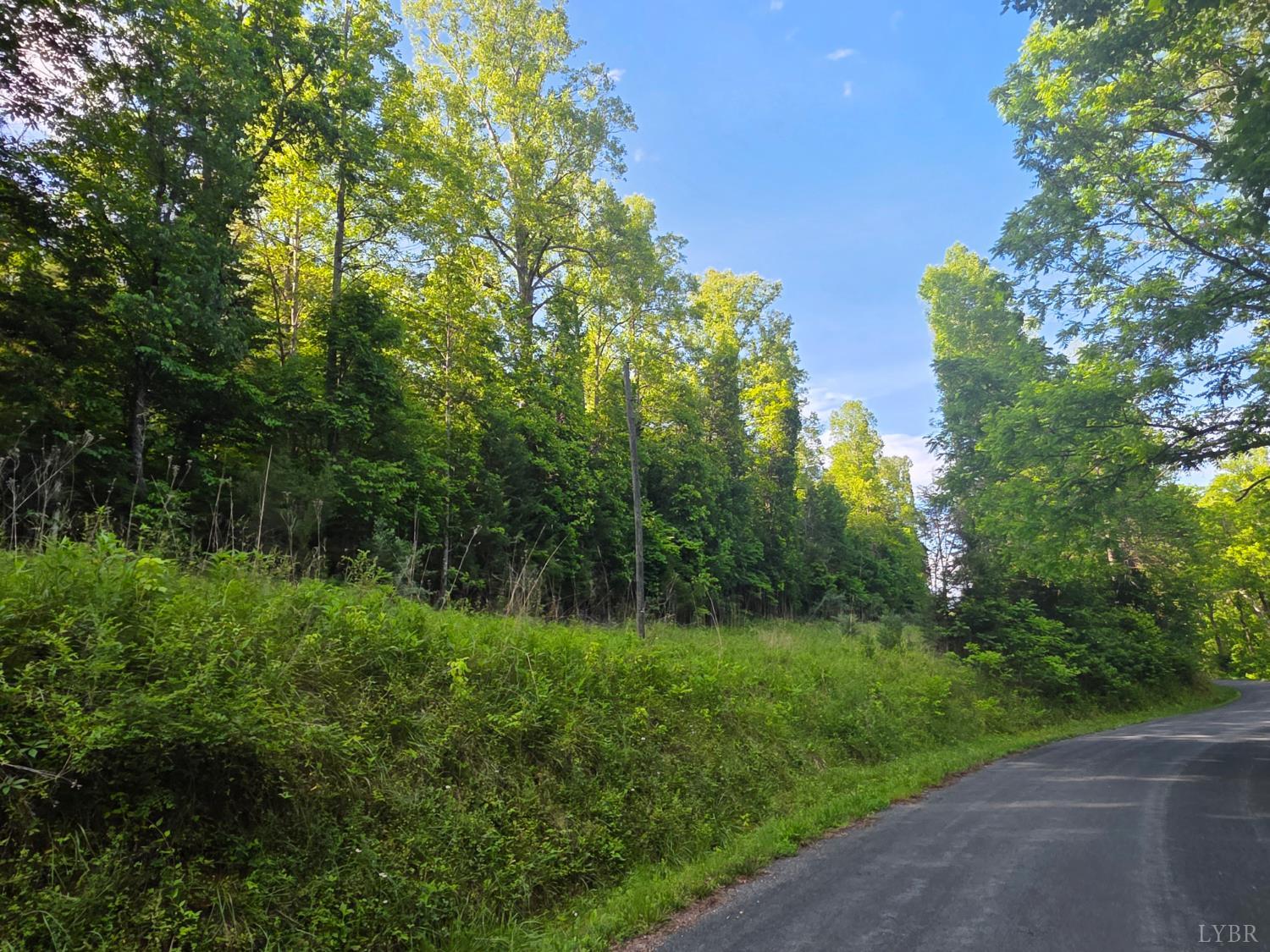 0 Dreaming Creek Road Concord, VA 24538 - Photo 3 of 15