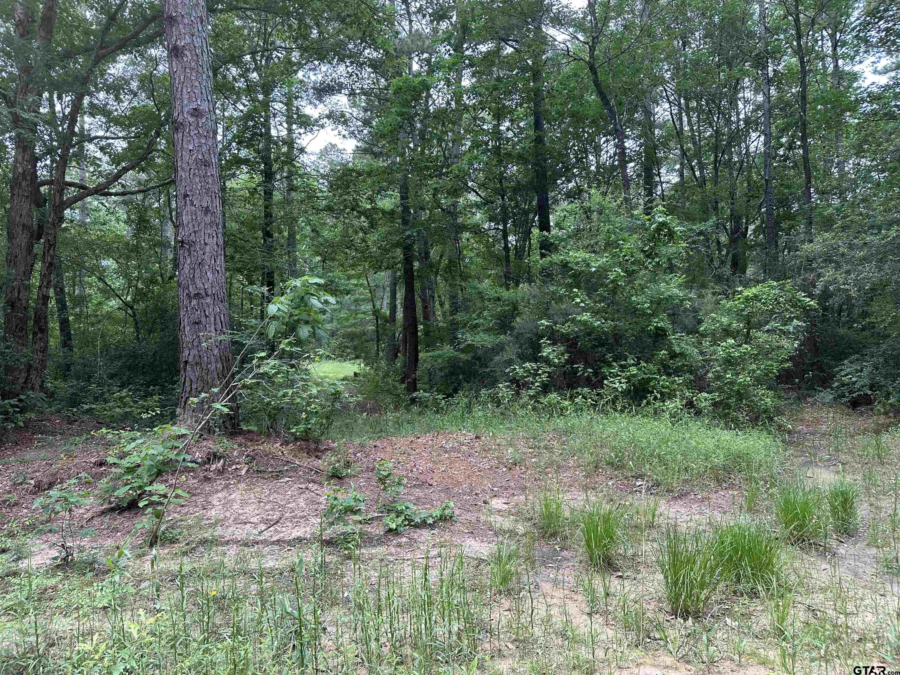 Tbd Sand Road Lufkin, TX 75904 - Photo 13 of 27