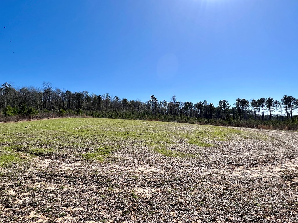 0 County Road 97 Abbeville, AL 36310 - Photo 4 of 53