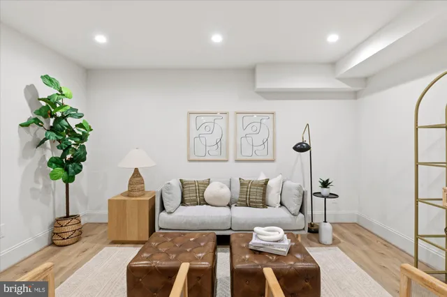 a living room with furniture and a potted plant