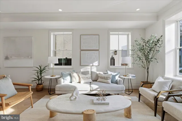 a living room with furniture potted plant and a window