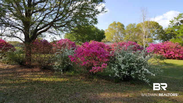 39660 Hannis Williams Road Bay Minette, AL 36507 - Photo 30 of 32 For Sale: 39660 Hannis Williams Road, Bay Minette, AL 36507 Spring flowers
