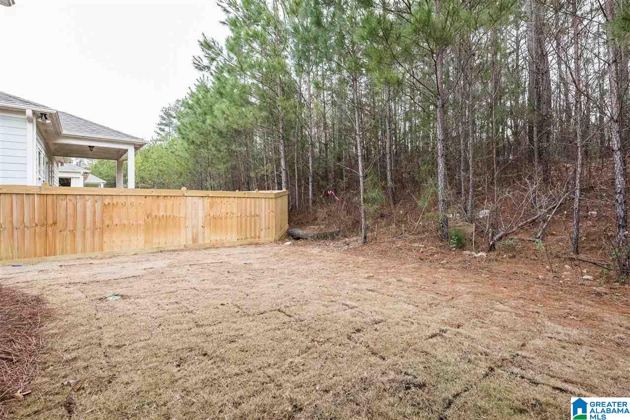 224 Rowntree Path Helena, AL 35080 - Photo 44 of 50