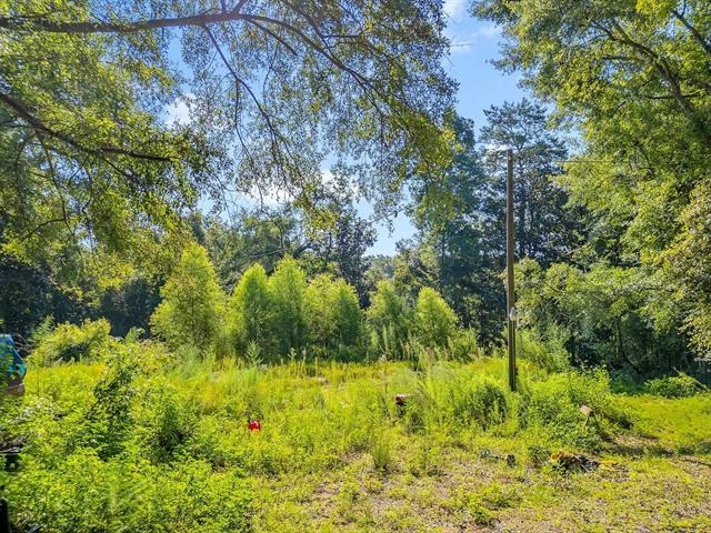 580 Spring Meadows Road Quincy, FL 32351 - Photo 6 of 6