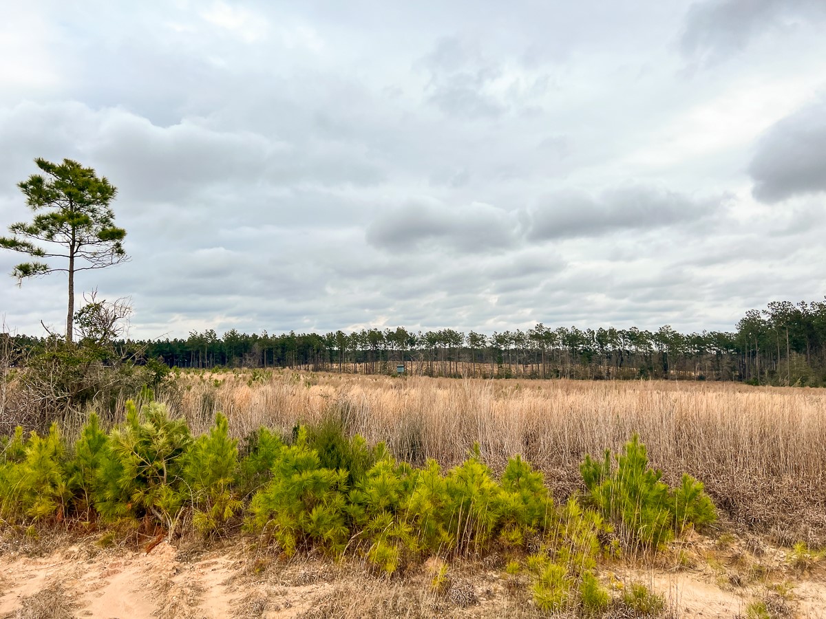 1 B Hardin Hideout Road Moscow, TX 75960 - Photo 6 of 14
