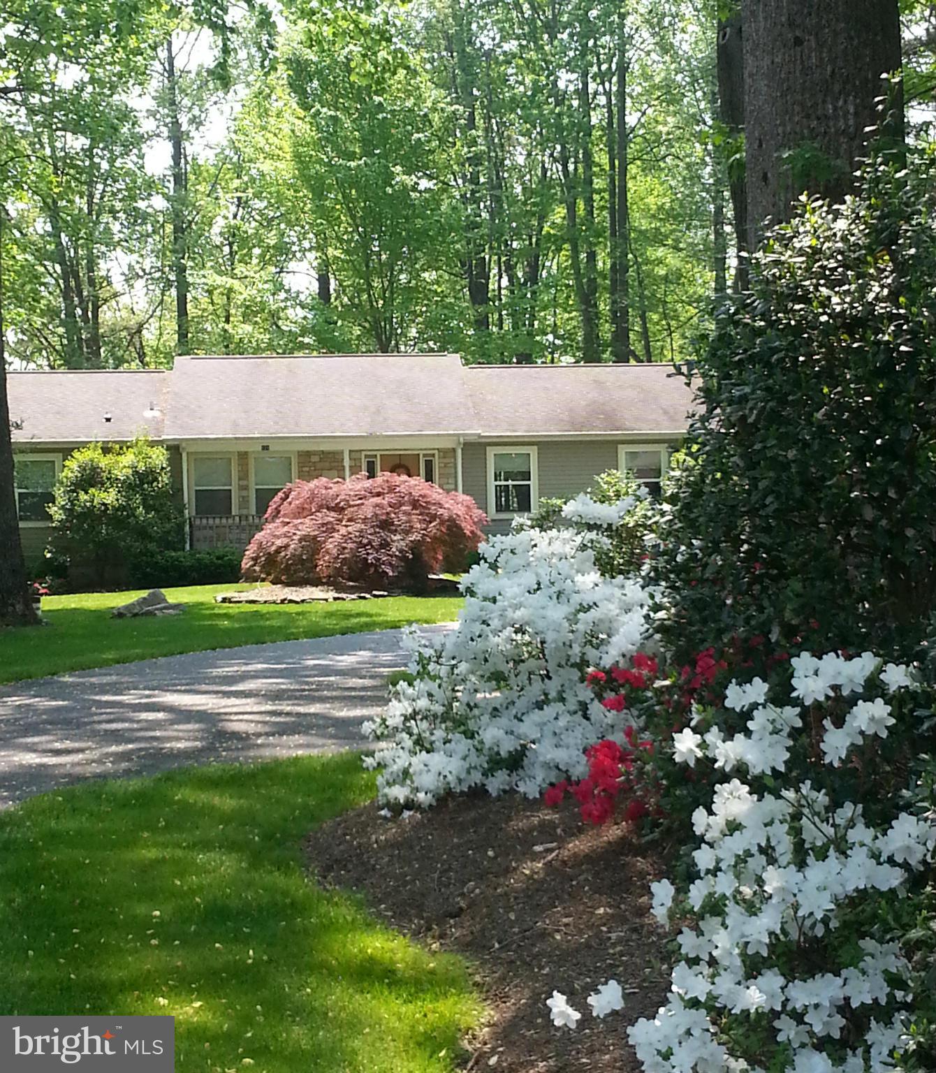 121 Fairhaven Road Tracys Landing, MD 20779 - Photo 1 of 30 Exterior (Front)