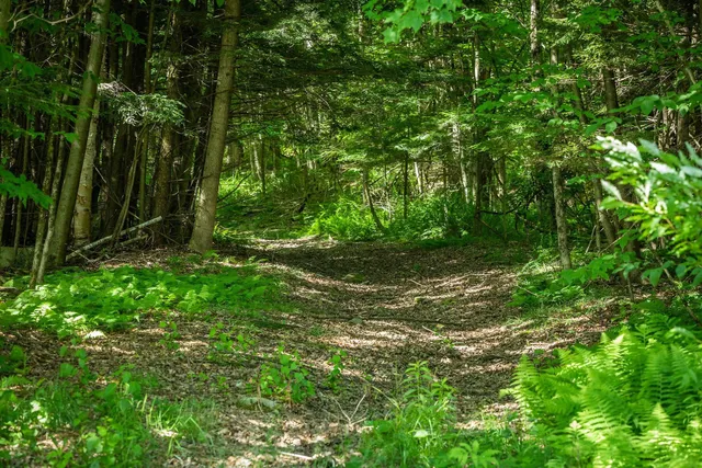 $3,490,000 | 1726 Skitchewaug Trail, Springfield, VT 05156