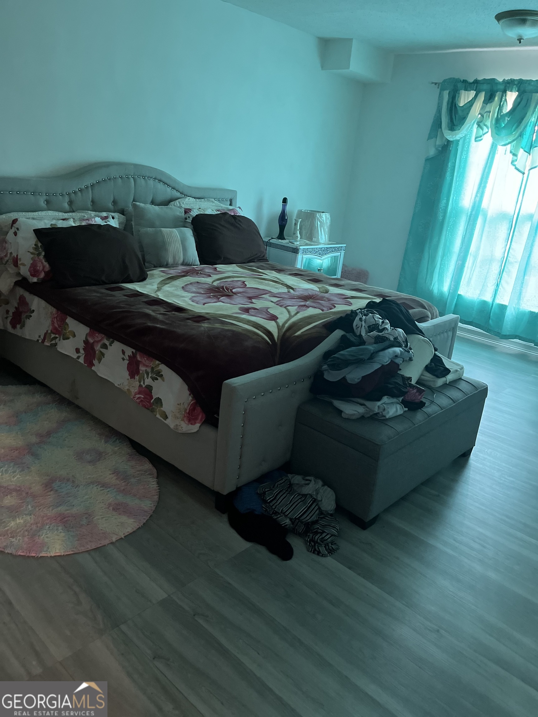 117 Rue Fontaine Lithonia, GA 30038 - Photo 4 of 6