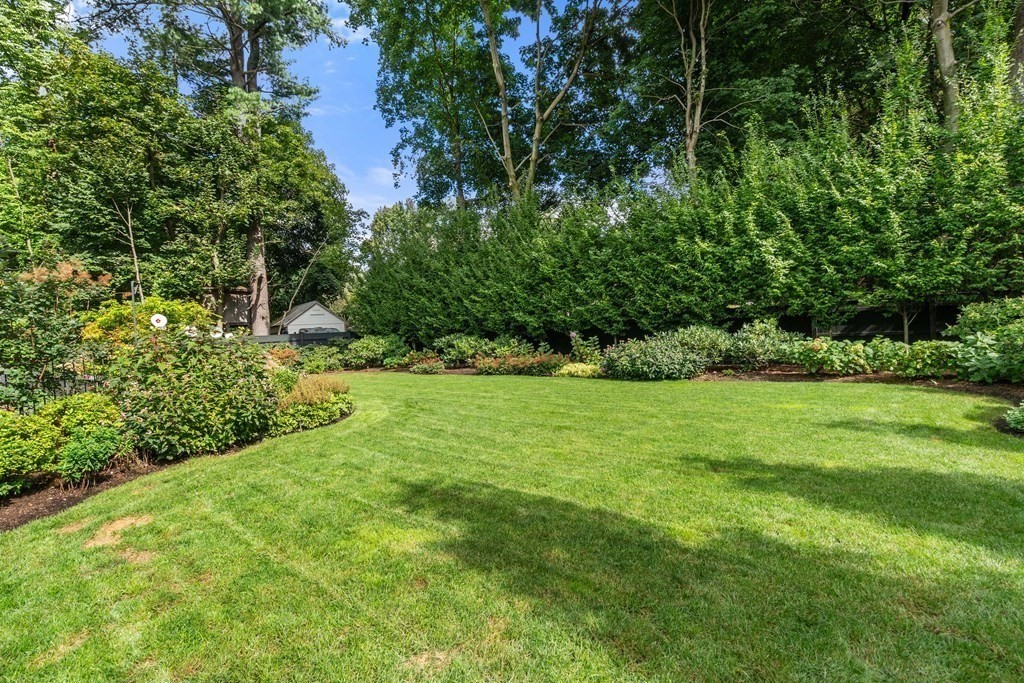 52 Hammondswood Road Newton, MA 02467 - Photo 29 of 34 a view of a garden with a tree