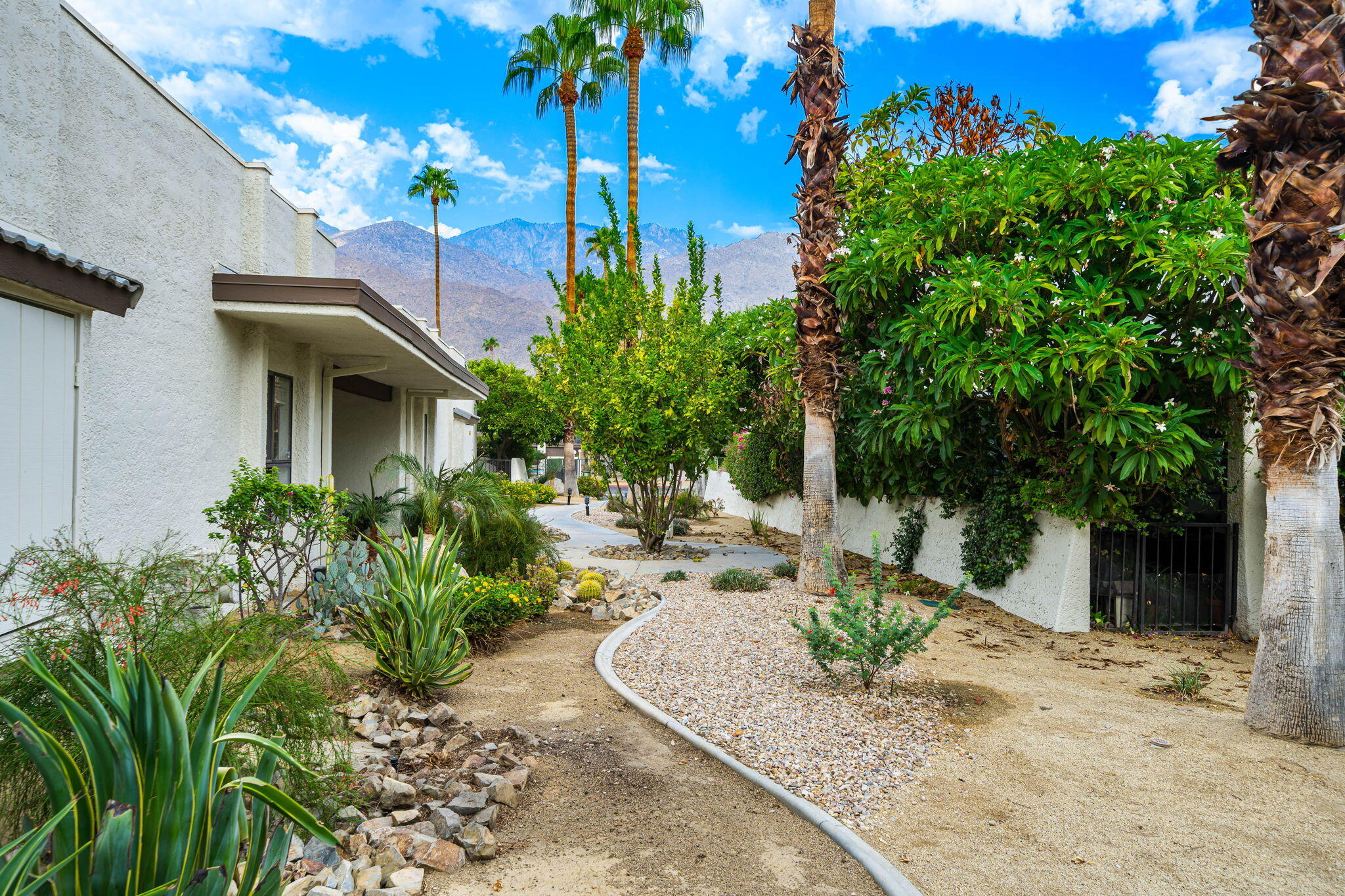 1150 East Palm Canyon Drive, Unit 37 Palm Springs, CA 92264 - Photo 1 of 40 a view of a house with a yard and potted plants