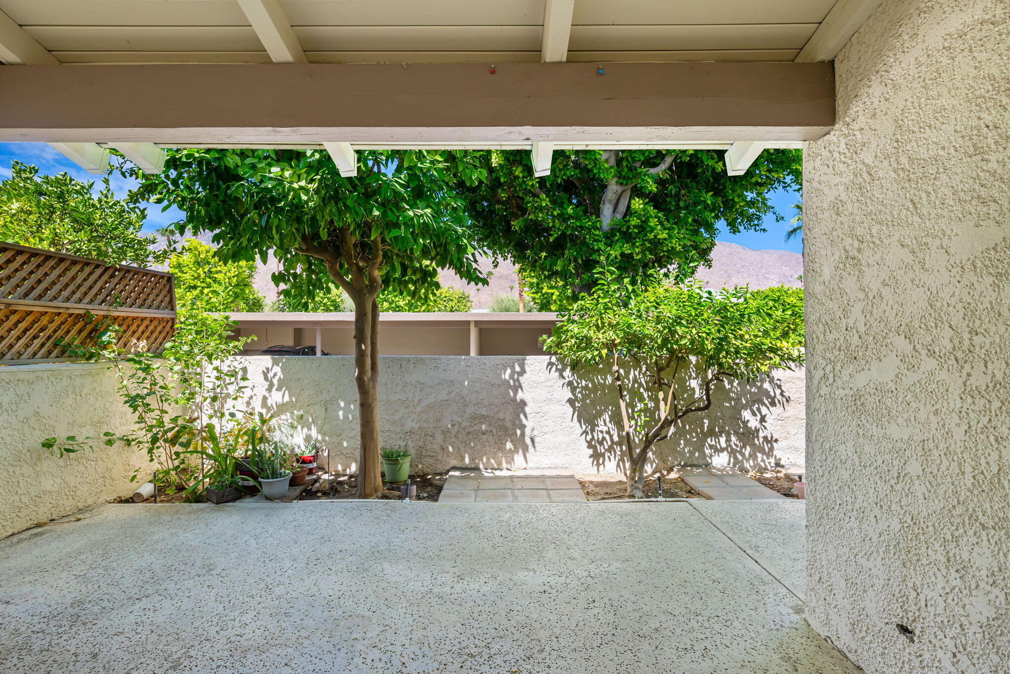 1150 East Palm Canyon Drive, Unit 37 Palm Springs, CA 92264 - Photo 17 of 40 a view of a house with a yard and potted plants
