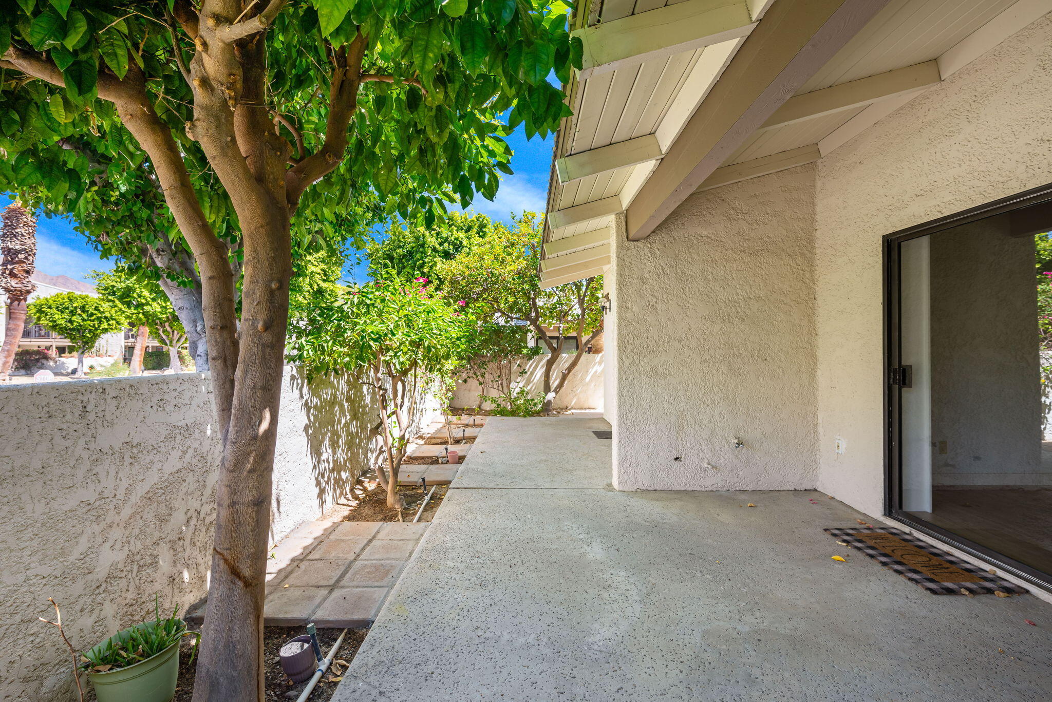 1150 East Palm Canyon Drive, Unit 37 Palm Springs, CA 92264 - Photo 20 of 40 a view of backyard with plants and a potted plant