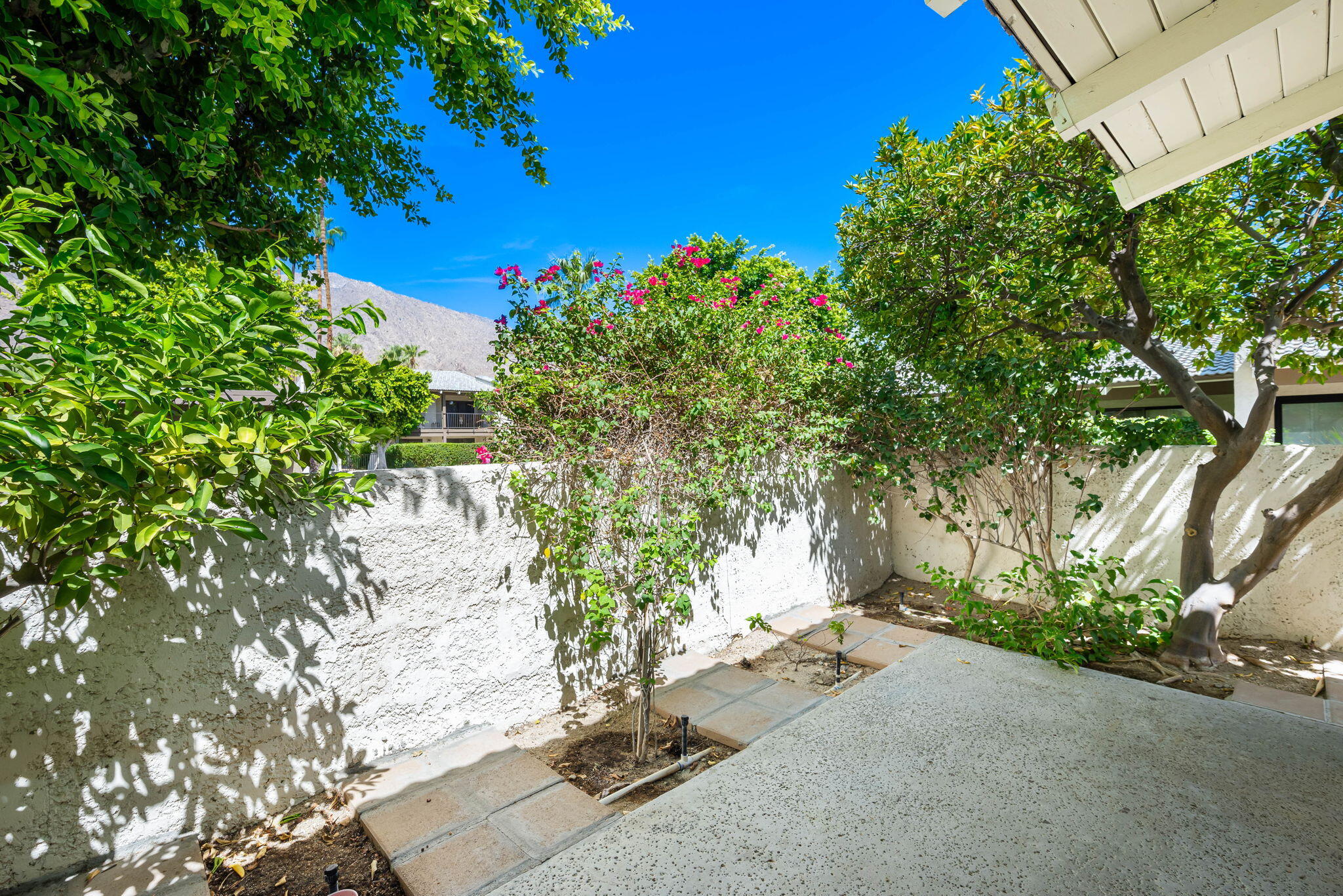 1150 East Palm Canyon Drive, Unit 37 Palm Springs, CA 92264 - Photo 21 of 40 front view of a house with a tree