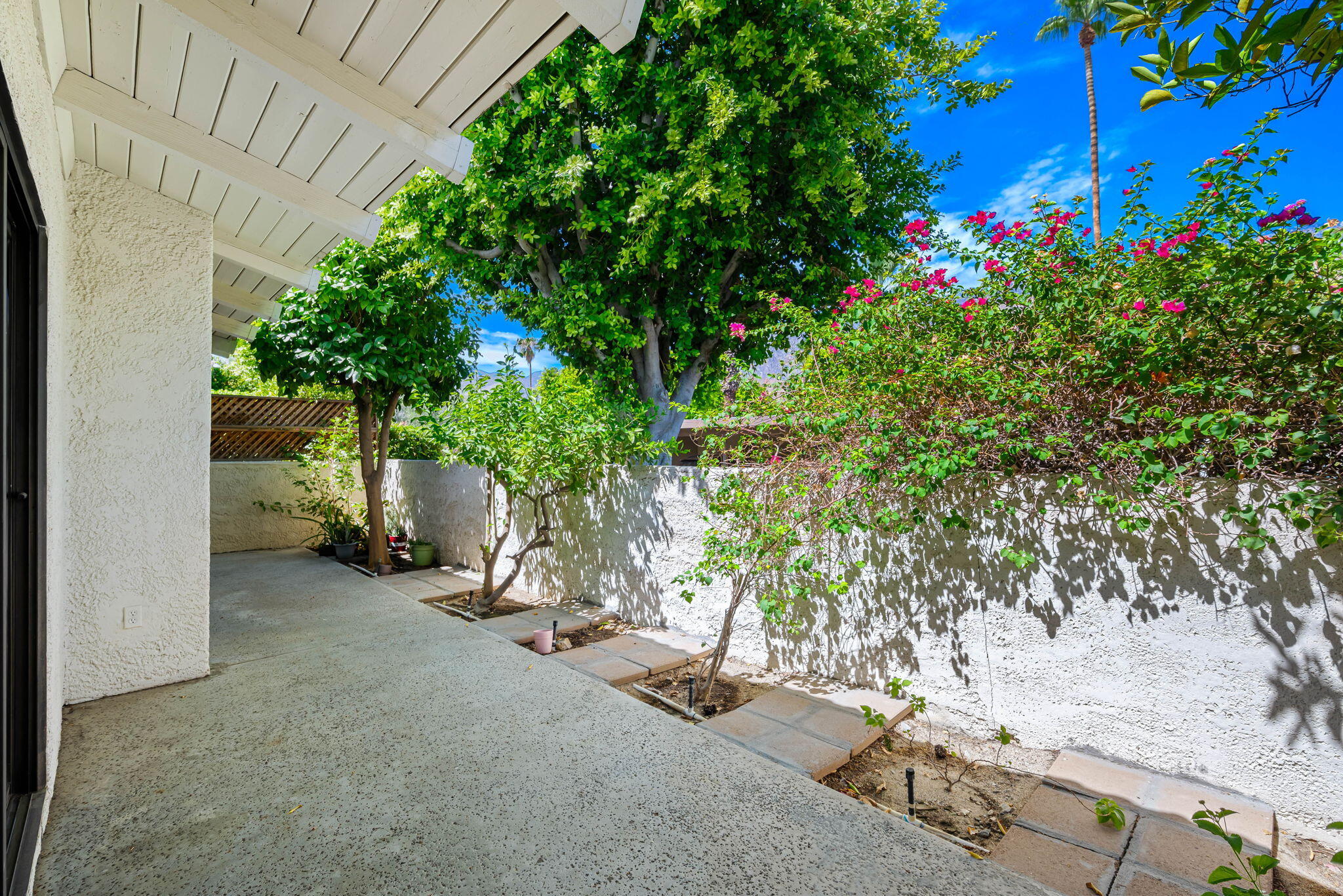 1150 East Palm Canyon Drive, Unit 37 Palm Springs, CA 92264 - Photo 22 of 40 a view of a garage with a tree