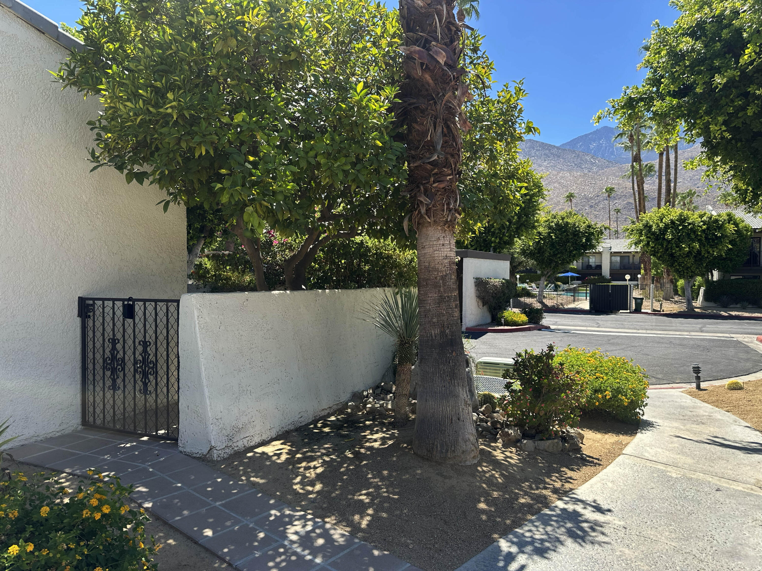 1150 East Palm Canyon Drive, Unit 37 Palm Springs, CA 92264 - Photo 6 of 40 a view of street with tall trees
