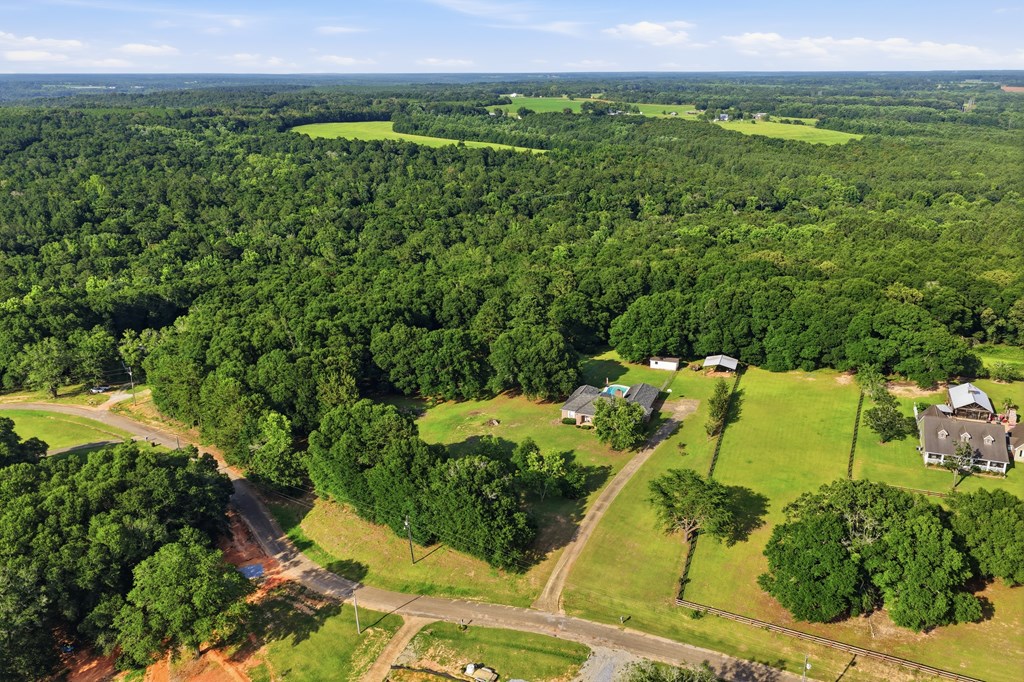 344 Hidden Springs Road Midland City, AL 36350 - Photo 57 of 64