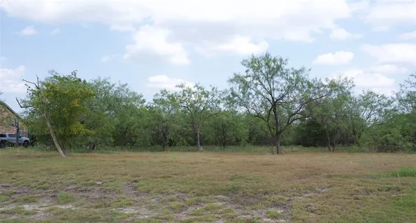 a view of a field with trees in background