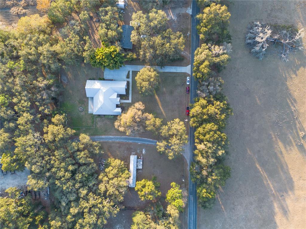 3108 Carter Jones Road Groveland, FL 34736 - Photo 54 of 54 a view of a flower