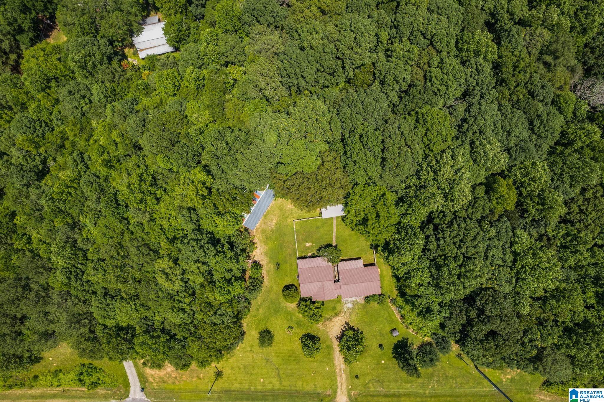 5429 Highway 46 Heflin, AL 36264 - Photo 28 of 33