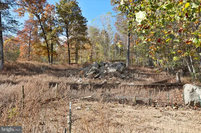 $989,900 | 96 Castle Mountain Road, Castleton, VA 22716