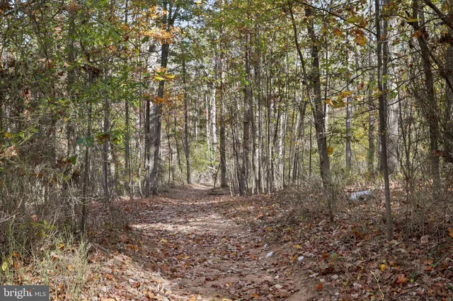 $989,900 | 96 Castle Mountain Road, Castleton, VA 22716