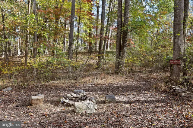 $989,900 | 96 Castle Mountain Road, Castleton, VA 22716