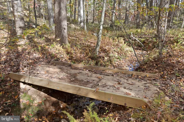 $989,900 | 96 Castle Mountain Road, Castleton, VA 22716