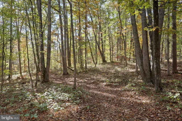 $989,900 | 96 Castle Mountain Road, Castleton, VA 22716