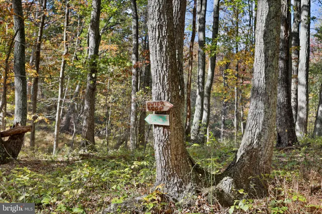 $989,900 | 96 Castle Mountain Road, Castleton, VA 22716