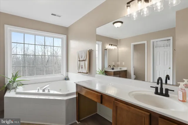 $989,900 | 96 Castle Mountain Road, Castleton, VA 22716