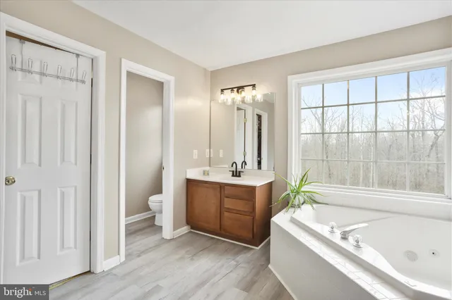 $989,900 | 96 Castle Mountain Road, Castleton, VA 22716