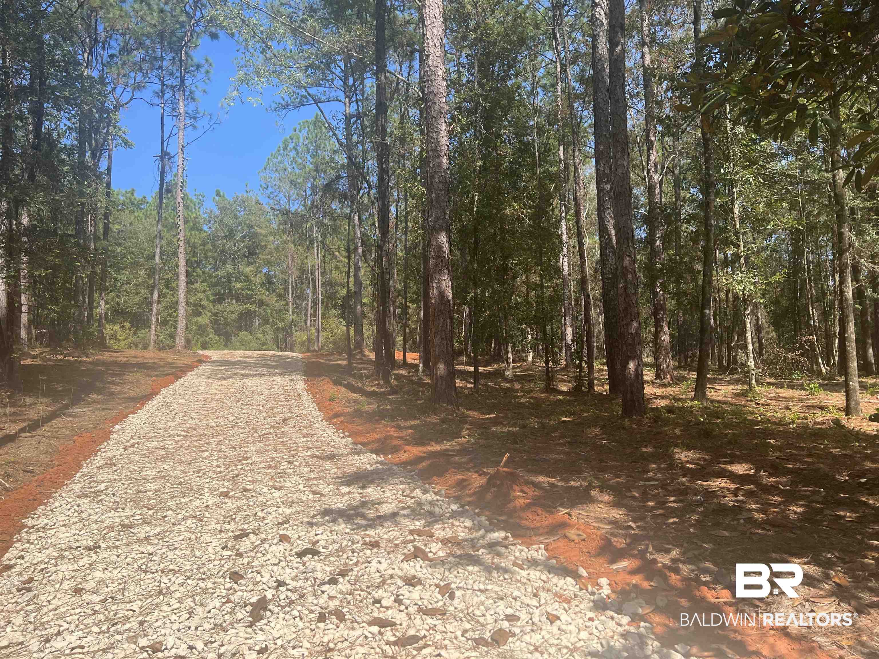 0 Highway 59 Stapleton, AL 36578 - Photo 4 of 5