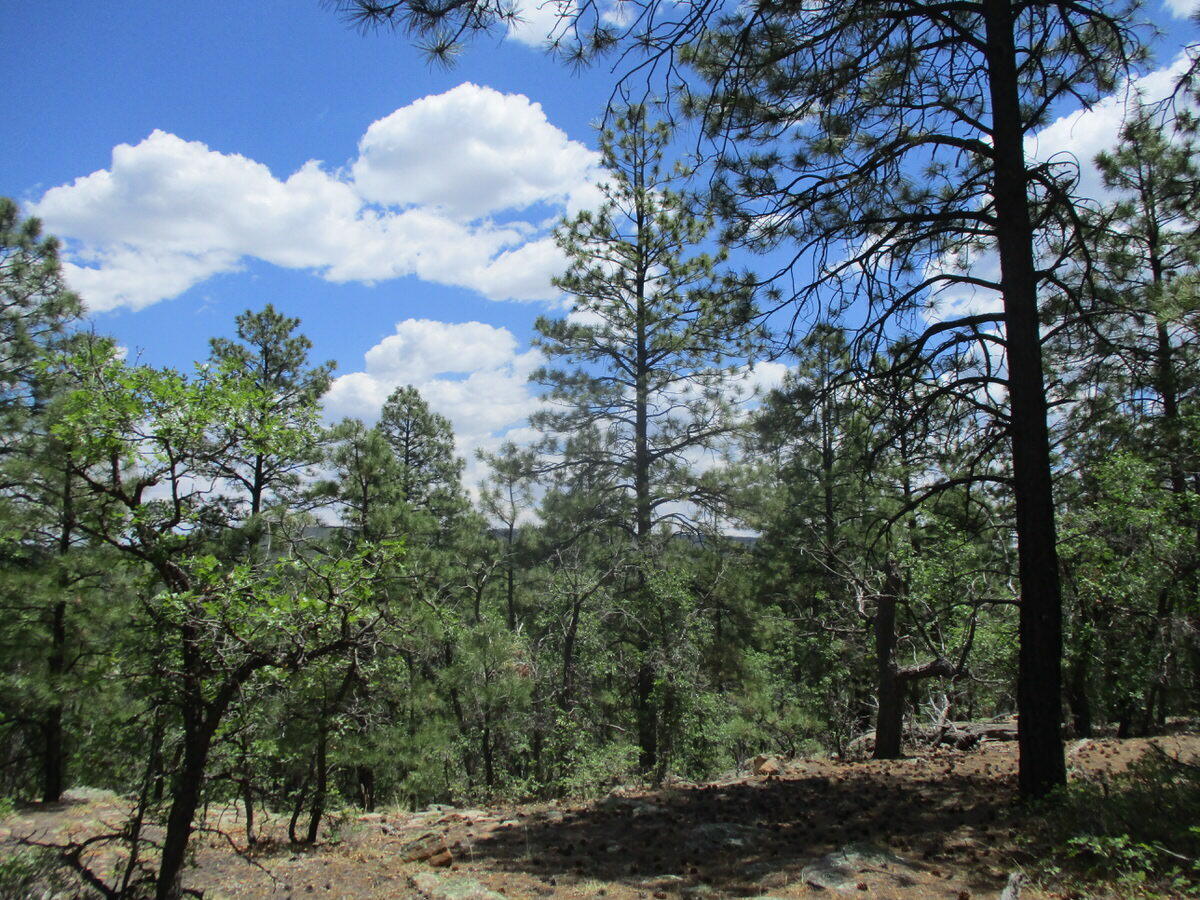 157 Forest Road Ramah, NM 87321 - Photo 24 of 71 Gallery Image 24