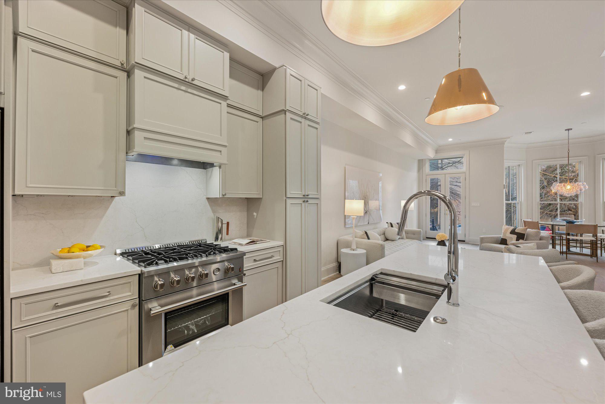 1335 11th Street Northwest, Unit 103 Washington, DC 20001 - Photo 9 of 18 Gourmet Kitchen - Model Residence #204