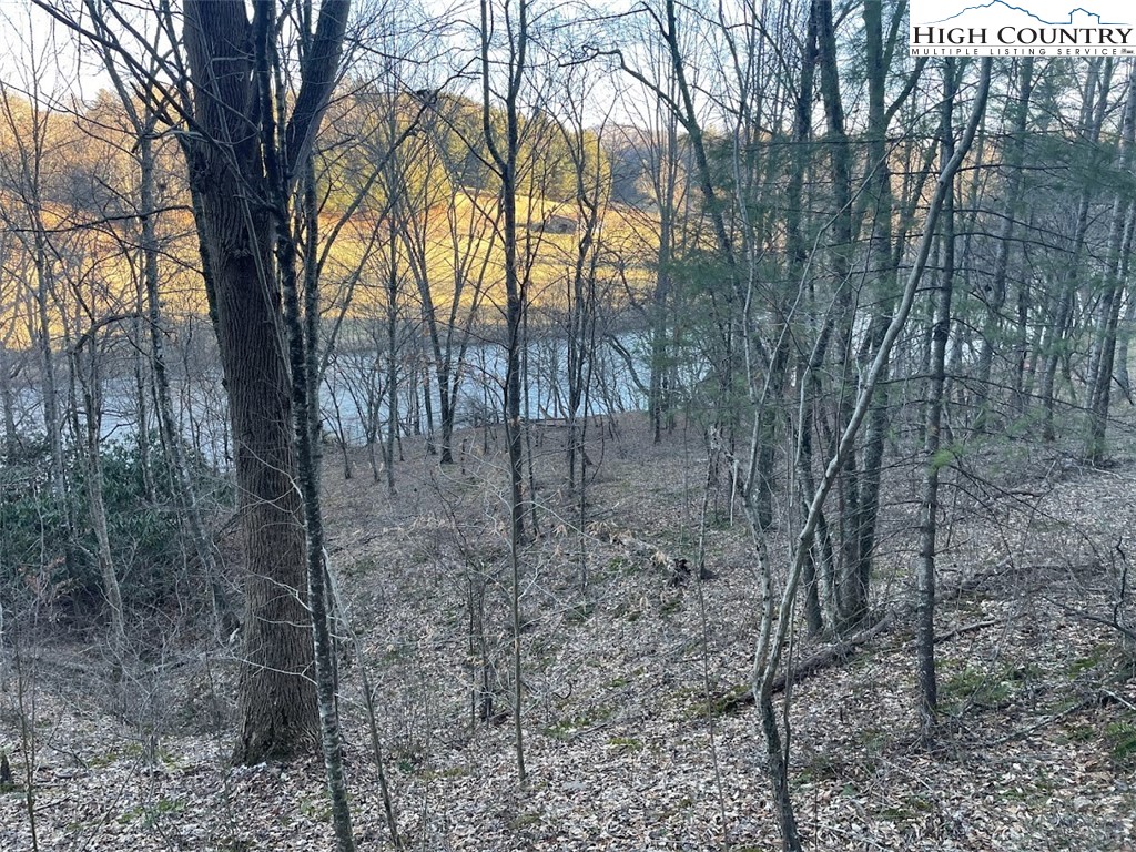 15 Riverside Road Crumpler, NC 28617 - Photo 8 of 10 Gallery Image 8