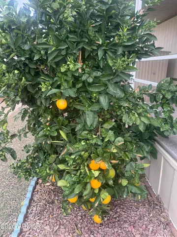 a view of outdoor space and garden in the back