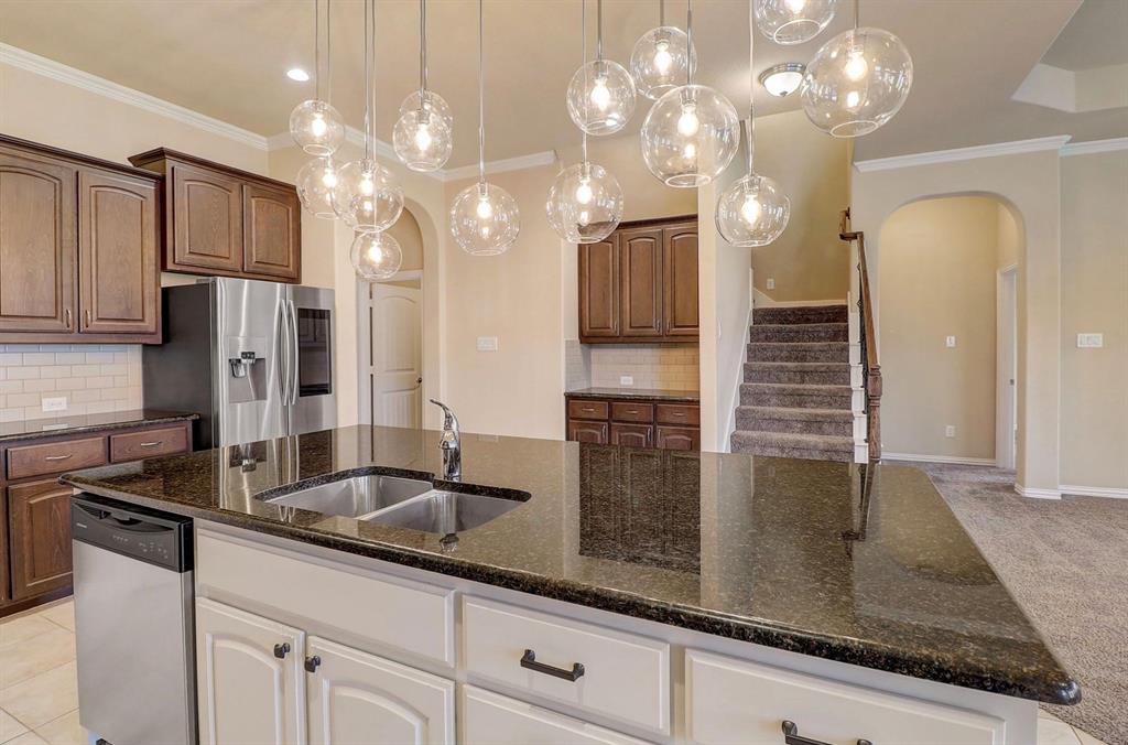 205 Mineral Point Drive Aledo, TX 76008 - Photo 9 of 38