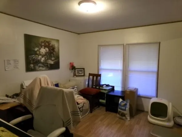 a living room with furniture a lamp and a potted plant