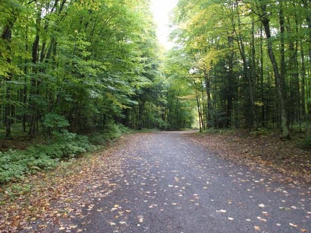 6841 Black Forest Road Presque Isle, WI 54557 - Photo 15 of 15 Gallery Image 15