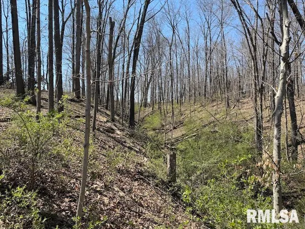 $336,000 | 40 E East Us Highway, Dennison, IL 62423